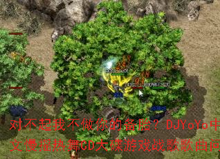 �Բ����Ҳ�����ı�̥��DJYoYo��Ӣ����ҡ����CD�����Ϸս����������ʹ�