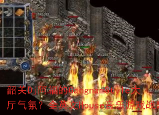 �ع�Dj������GangnamStyle�������գ�ȫӢ��House������Ϸս�衣
