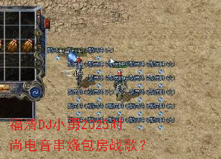 ����DJС��2025ʱ�е������հ���ս�裿