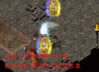 ����Ů��DJ��ƮHIFI���ﾭ�䳵��CD��Ϸս��赥