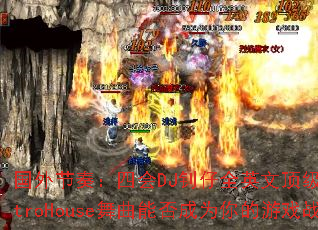 ������ࣺ�Ļ�DJ����ȫӢ�Ķ���ElectroHouse�����ܷ��Ϊ�����Ϸս��