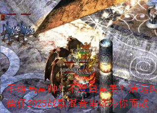 ���޸߸�˧�������׸�������ԶDJ����2025ս���������Ϊ���ս