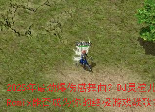 2025������˸�������DJ��鸶�Remix�ܷ��Ϊ����ռ���Ϸս�裿