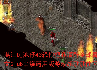 տ��Dj����43������ҹ���ȫ�������˱�����Club����ͨ�ð���Ϸս����������ʹ���