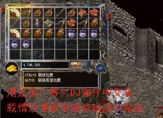 տ���⴨�մ�DJǿ�����ĳ��������ҡ������Ϸս�辫ѡ