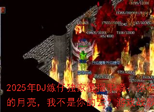 2025��DJ���ж�����ҡ���գ��㲻���ҵ��������Ҳ�������ƣ���Ϸս����꿽��ƪ