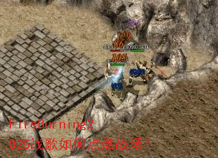 FireBurning2025ս����ε�ȼս����