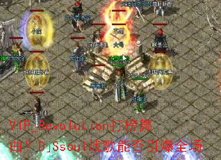 VIP_Revolution���������DjSsoulս���ܷ�����ȫ��