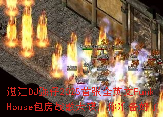 տ��DJǿ��2025����ȫӢ��FunkHouse����ս��������׼��������