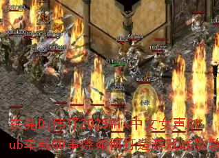 ��ݸDjΰ��2025Mix����Ů��Club����CD������δ�����Ϸս��赥��