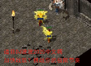 ����DJ����2025�����˼ӿ�ս�裿��ս��ļ��޽���