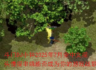 ����DJС��2025��7��ȫ����ҡͷ��ҡ�����ܷ��Ϊ�����Ϸս�裿