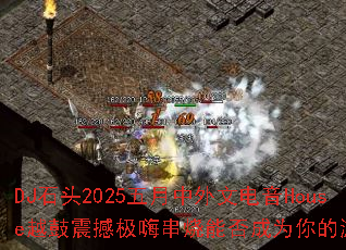 DJʯͷ2025���������ĵ���HouseԽ���𺳼��˴����ܷ��Ϊ�����Ϸս��