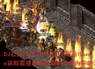 DJʯͷ2025���������ĵ���HouseԽ���𺳼��˴����ܷ��Ϊ�����Ϸս��