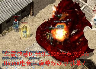 ������Dj����2025ȫӢ�ļ�ƷHouse����������Ϸս��赥��