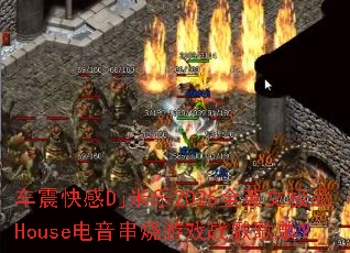 ������Dj����2025ȫӢ�ļ�ƷHouse����������Ϸս��赥��