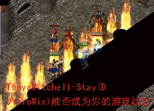TonyaMitchell-Stay(DJYoYoMix)�ܷ��Ϊ�����Ϸս�裿
