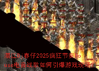 տ��Dj����2025������House����ս�����������Ϸ�ֳ���