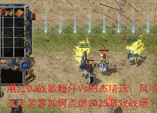 տ��DJս�賬��Vs�ʽܾ�ѡ���紵����Ц����ε�ȼ2025��Ϸս����