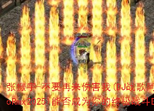 ������-��Ҫ�����˺���(DJս�谢��ElectroRmx2025)�ܷ��Ϊ����ռ�ս��BGM��