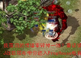 ����������������һ�أ�ͯ��������ͯ����DJս���㲼�������ProgHouse��������