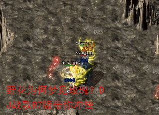 Ұ��Ϊ���μ�õ�壿DJս��R7�������
