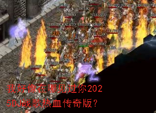 �Һ������ļ�����2025DJս����Ѫ����棿