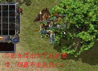 ��Ķ���������ҵİ��飬ȴӮ�����ҵ��ģ�