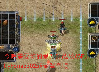 ������Ҫ��İ���DJս��A5FunkyHouse2025Rmx������