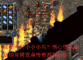 ����һֻССС�������������CD��α���������Ϸս�裿