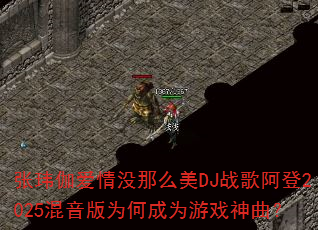 ����٤����û��ô��DJս�谢��2025������Ϊ�γ�Ϊ��Ϸ������