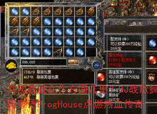 ��ʵ�Ҿ����㷽Բ���DJս���Ѿͷ������ProgHouse��ȼ��Ѫ����