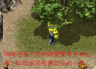 ��Ե�ɿ��ӵĹ�����Ҫ��Щ˵������DJս���㲼�趯�������
