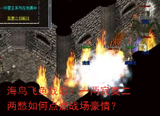 海鸟飞鱼战歌:一两寂寞二两愁如何点燃战场豪情? 海鸟飞鱼战歌:一两寂寞二两愁如何点燃战场豪情?