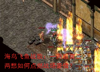 海鸟飞鱼战歌:一两寂寞二两愁如何点燃战场豪情? 海鸟飞鱼战歌:一两寂寞二两愁如何点燃战场豪情?