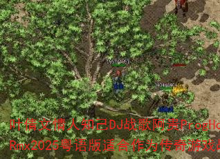 叶倩文情人知己DJ战歌阿贵ProgHouseRmx2025粤语版适合作为传奇游戏战歌吗 叶倩文情人知己DJ战歌阿贵ProgHouseRmx2025粤语版适合作为传奇游戏战歌吗