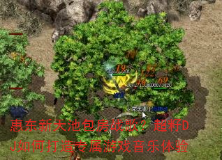 惠东新天池包房战歌?超籽DJ如何打造专属游戏音乐体验 惠东新天池包房战歌?超籽DJ如何打造专属游戏音乐体验