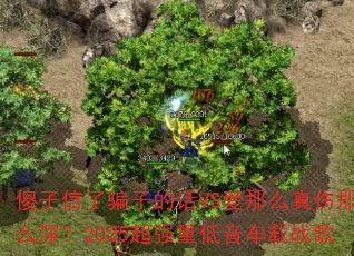 傻子信了骗子的话VS爱那么真伤那么深?2025超强重低音车载战歌 傻子信了骗子的话VS爱那么真伤那么深?2025超强重低音车载战歌