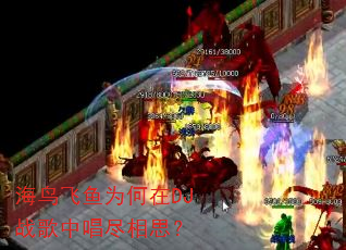 海鸟飞鱼为何在DJ战歌中唱尽相思? 海鸟飞鱼为何在DJ战歌中唱尽相思?