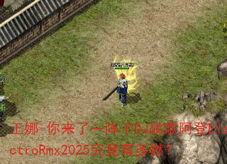����-������һ����DJս�谢��ElectroRmx2025�����ж�ȼ��