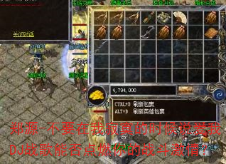 ֣Դ-��Ҫ���Ҽ�į��ʱ��˵����DJս���ܷ��ȼ���ս�����飿