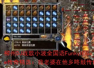 ����DJս��С��ȫ����FunkyHouse���澫ѡ���������������˹Ĵ�����Ϸ��