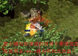 ��С���������ĸ�粻Ҫ������DJս�����remix��Ϊ�������Ѫ��