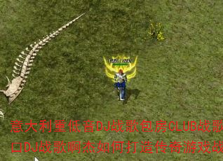 ������ص���DJս�����CLUBս�裿����DJս�谡����δ��촫����Ϸս��赥��