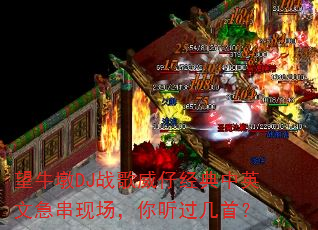 ��ţ��DJս�����о�����Ӣ�ļ����ֳ������������ף�