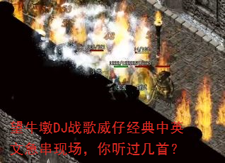 ��ţ��DJս�����о�����Ӣ�ļ����ֳ������������ף�