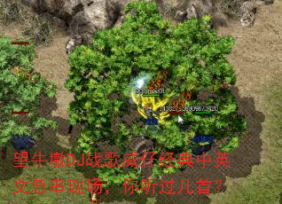 ��ţ��DJս�����о�����Ӣ�ļ����ֳ������������ף�