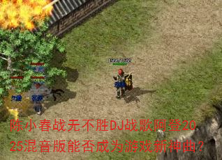 ��С��ս�޲�ʤDJս�谢��2025�������ܷ��Ϊ��Ϸ��������