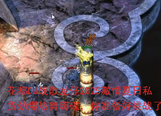 ����DJս������2025��������˽�����������˵�����׼������ս����