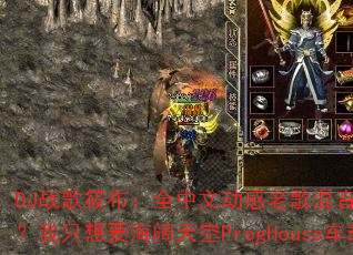 DJս���㲼��ȫ���Ķ����ϸ��������ʲô���㣿��ֻ��Ҫ�������ProgHouse���ذ棿